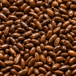 Cassia Angustifolia Seed Polysaccharide